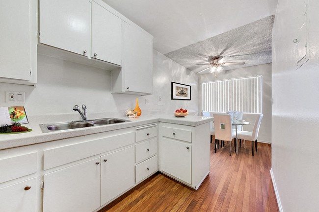 1 Bed 1 Bath Floor Plan 2